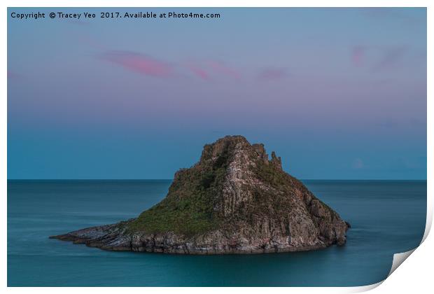Thatcher Rock Torquay at Sunset   Print by Tracey Yeo