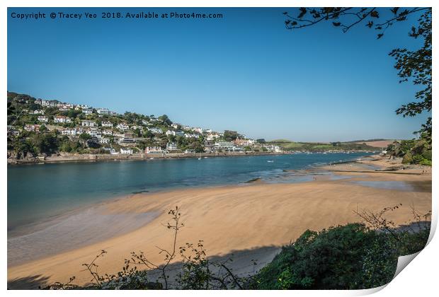Salcombe Estuary From Mill Bay. Print by Tracey Yeo