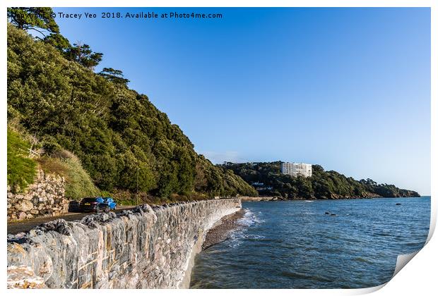 High Tide At Meadfoot Beach  Print by Tracey Yeo