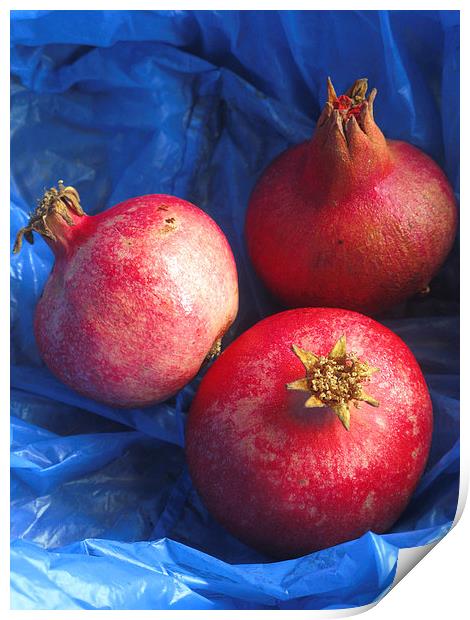 Pomegranates Print by Steve Outram