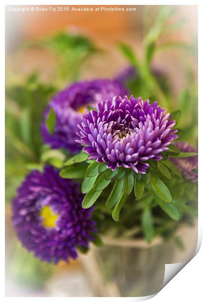  Aster in a vase Print by Brian Fry