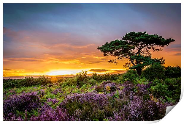 New Forest Sunset at Bratley View Print by Kevin Browne