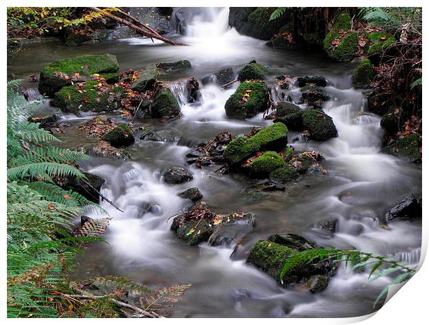 Autumn stream Print by Ralph Jackson