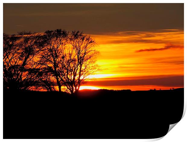 Lovely Sunset Just Passed Windmill Print by adrian shirkey