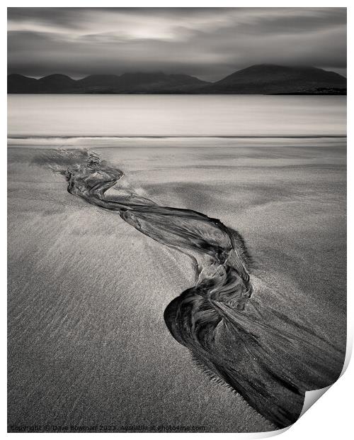 Luskentyre Sand Tracks Print by Dave Bowman