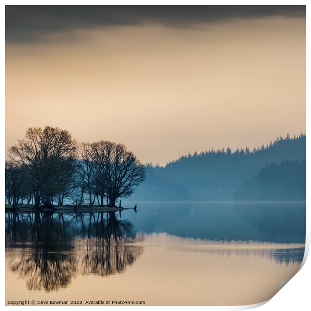 Loch Ard Reflection Print by Dave Bowman