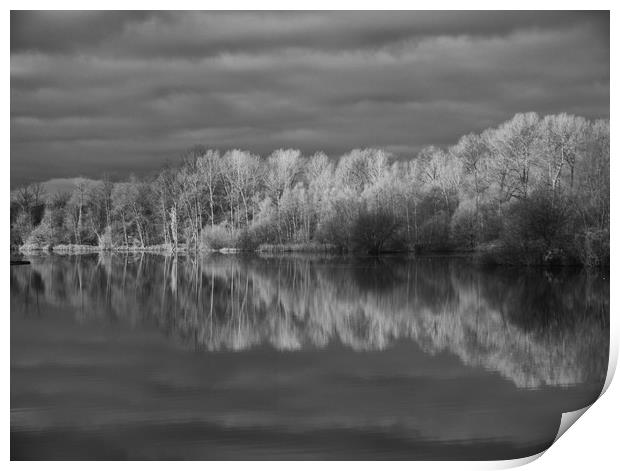 Infrared Reflections Print by Sarah Pymer