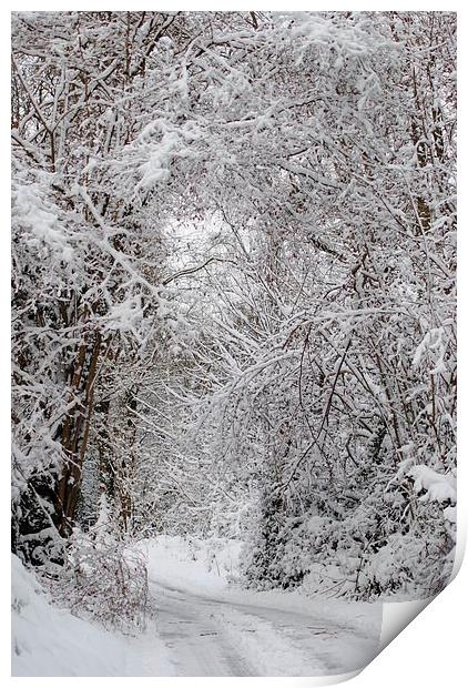 Snowy Lane Print by Lynette Holmes