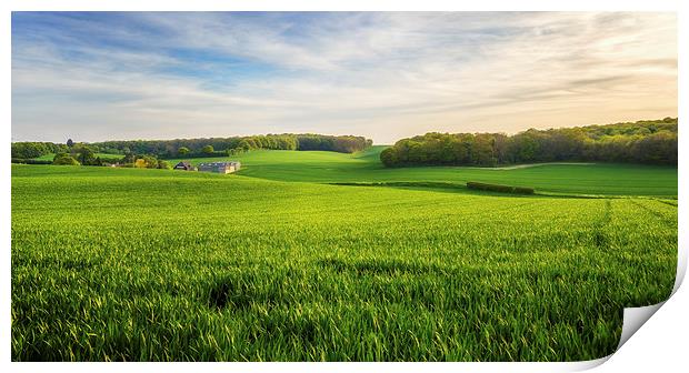  Green Farmland in Bean, Kent Print by John Ly