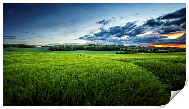  Sunset on Wheatfields in Kent Print by John Ly
