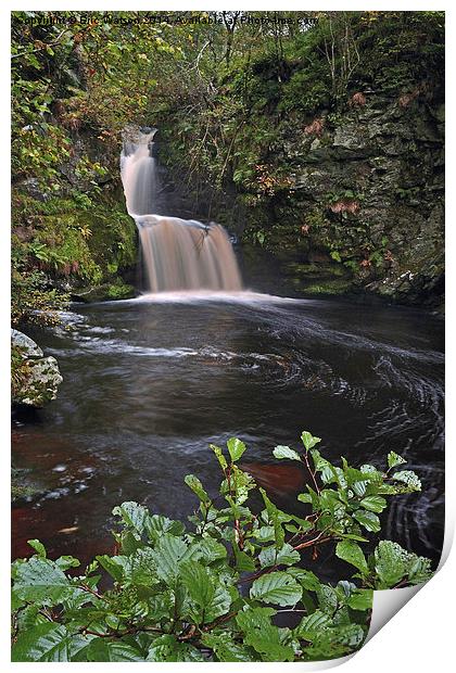 Linn Falls Aberlour Scotland Print by Eric Watson