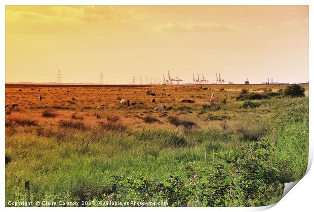 Isle of Grain Horses Print by Claire Colston