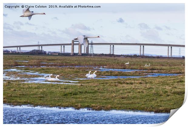 Geese flying Sheppey Bridge Print by Claire Colston