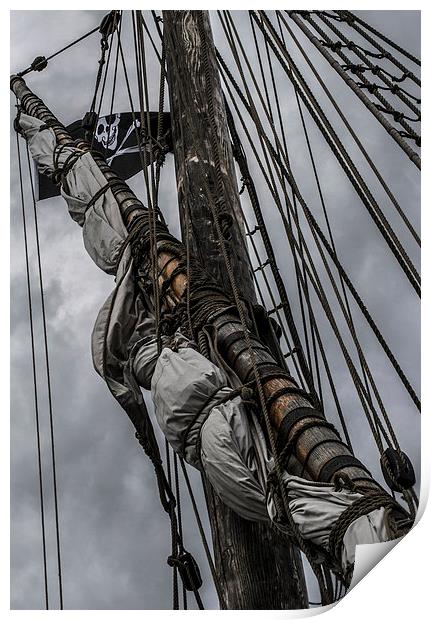Pirate Matthew Print by Andy Davis