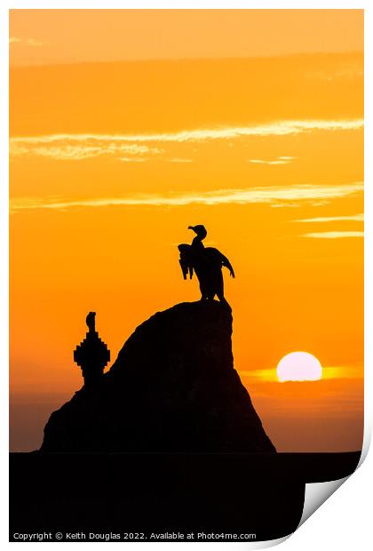 Morecambe Cormorants at Sunset Print by Keith Douglas