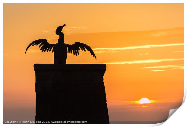 Morecambe Cormorant at Sunset Print by Keith Douglas