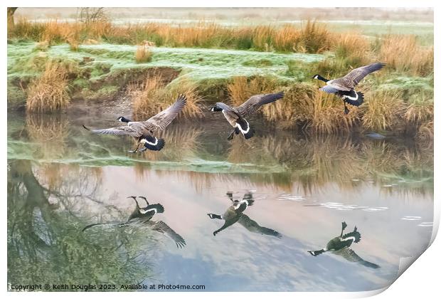 Coming in to land Print by Keith Douglas