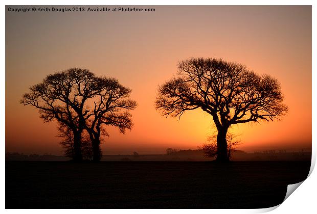 Trees at sunrise Print by Keith Douglas