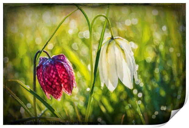 Delicate Spring Flowers on the Meadow Print by Keith Douglas