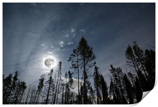 Full moon shining through the broken wood Print by Mick Surphlis