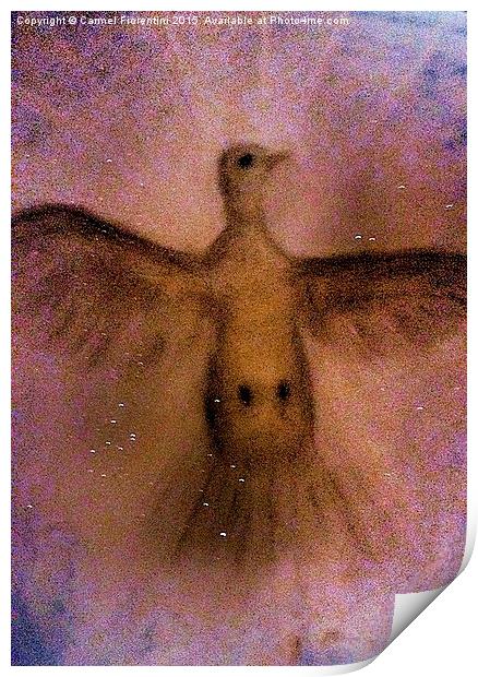  Heavenly Dove Print by Carmel Fiorentini