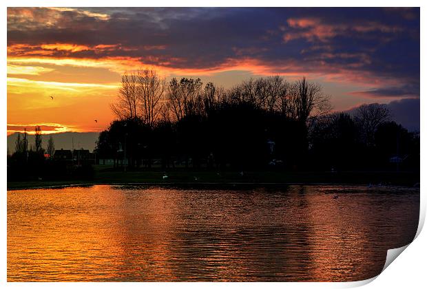 Sunset over the duck pond Print by matthew  mallett