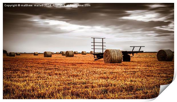  The Harvest is now complete Print by matthew  mallett