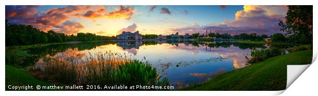 Celebration Orlando Panorama Print by matthew  mallett