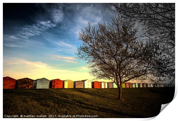 Dovercourt Beach Huts Print by matthew  mallett