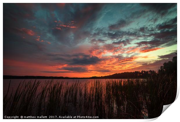 Sunset At Lake Louisa Florida Print by matthew  mallett
