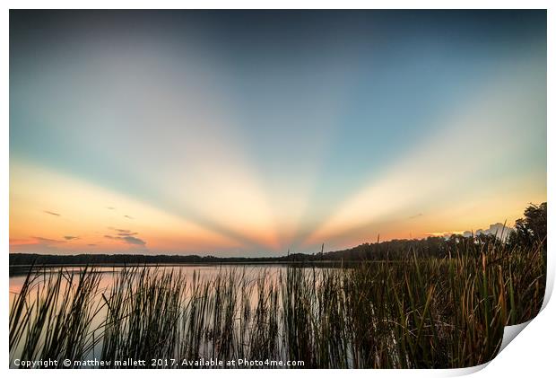 Anti Crepuscular Rays Sunrise Over Lake Dixie Flor Print by matthew  mallett
