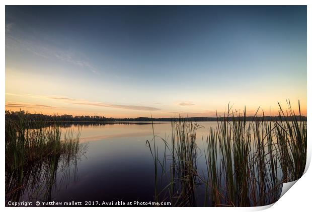 Peaceful Lake Dixie Florida Sunrise Print by matthew  mallett