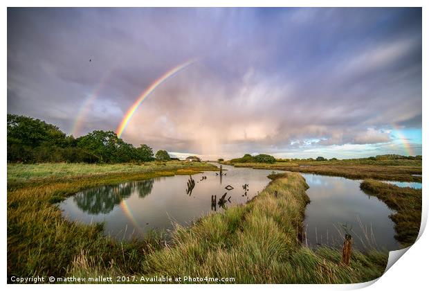 Swallows, Rainbows and Reflections Print by matthew  mallett
