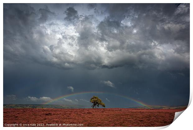 Rainbow And Stom Clouds Over The Lonely Tree Print by Inca Kala