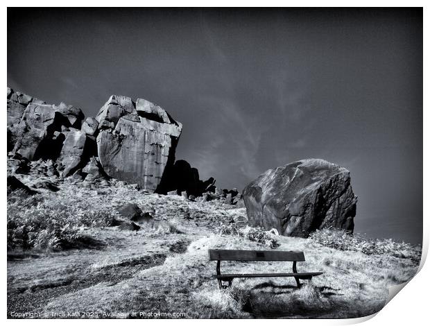 The Bench Below the Cow and Calf Rocks  Print by Inca Kala
