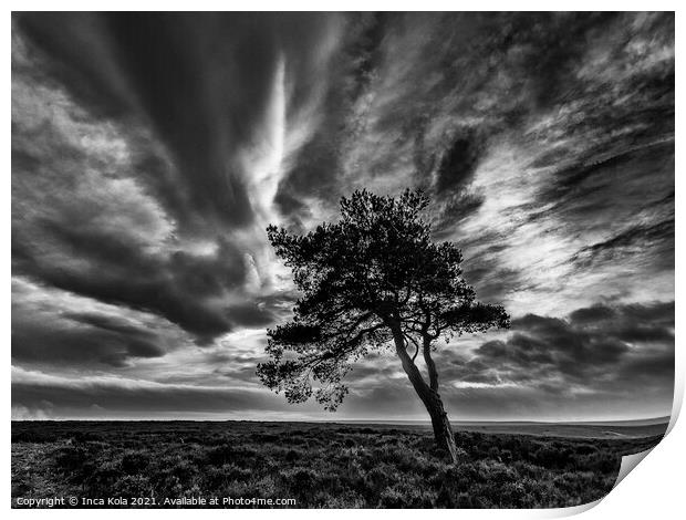 Egton's Lonely Tree Under A Dramatic Sky Print by Inca Kala