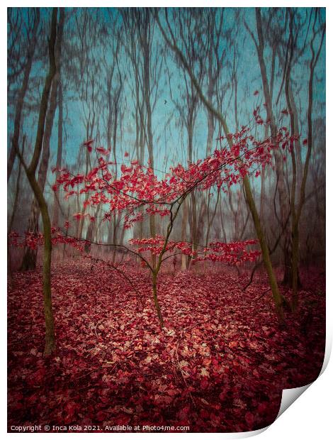 Red Leaves in the Woodland Print by Inca Kala