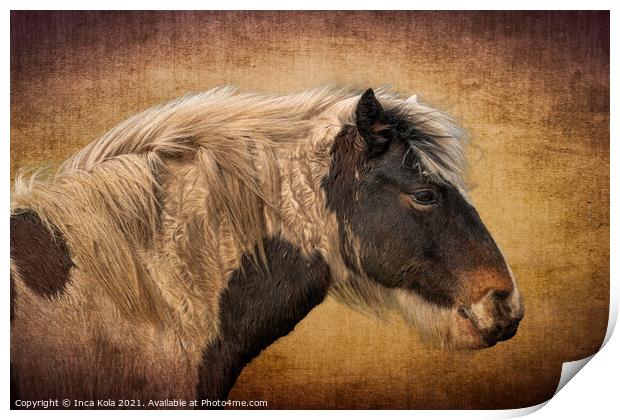Harris A Horse in Profile  Print by Inca Kala