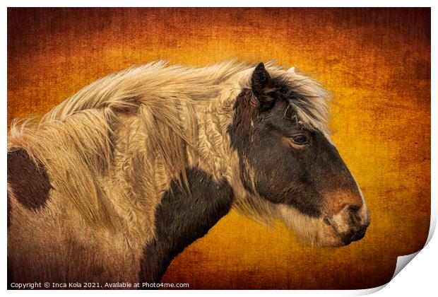 Harris A Horse in Profile  Print by Inca Kala