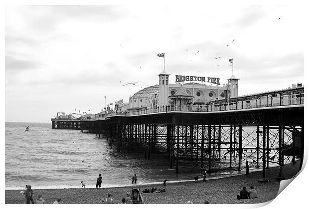 Brighton Pier Print by anna collins