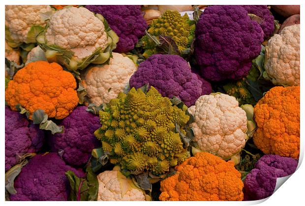 Cauliflower mixture Print by anna collins