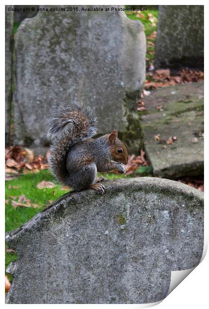  Graveyard Squirrel Print by anna collins