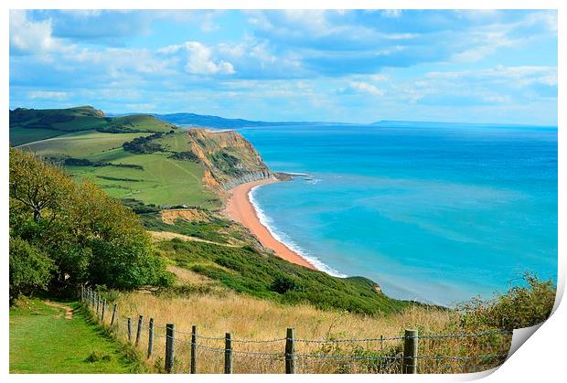 Chesil Beach Dorset Print by Lindsay Read