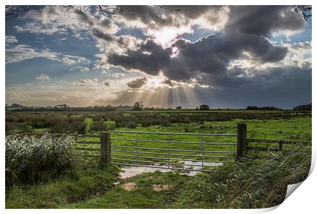  Sun Rays at Somerton Print by James Taylor