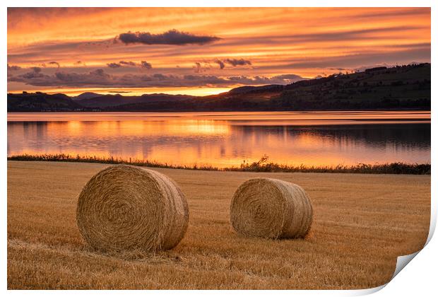 Hay Bales Cromarty Firth Print by Jason Moss