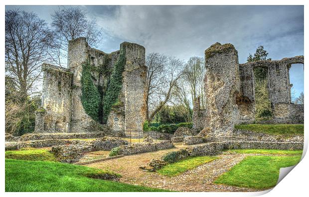 bishops waltham palace ruin Print by nick wastie