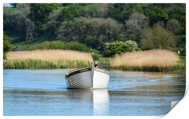 Arundel wetlands boating Print by nick wastie