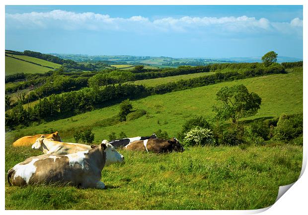 Maker Hill overlooking Millbrook Print by Roger Upton