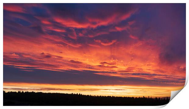 Sunset over Callander Park, Falkirk. Print by Tommy Dickson