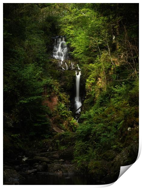 Little Fawn Waterfall, Aberfoyle. Print by Tommy Dickson